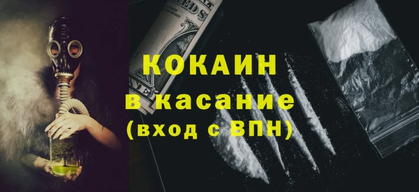 сатива Коряжма