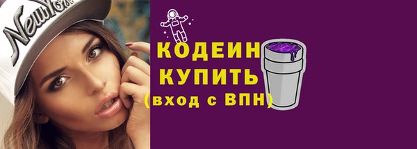 сатива Коряжма