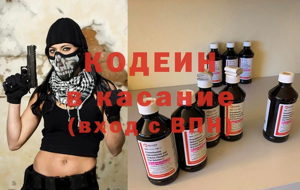 сатива Коряжма