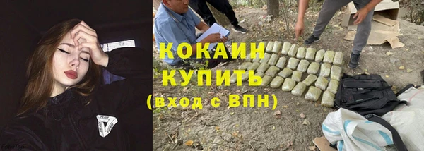 сатива Коряжма