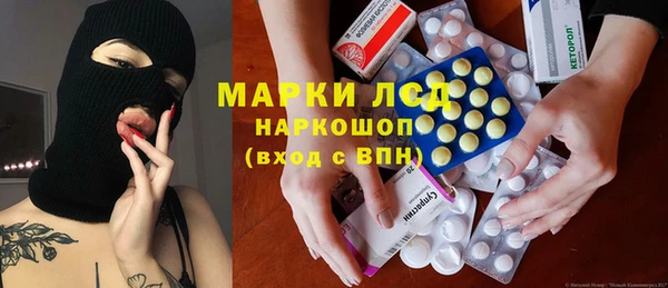 сатива Коряжма