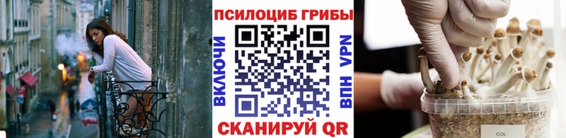 Псилоцибиновые грибы MAGIC MUSHROOMS  Купить  Снежинск 